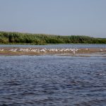 proiectul danubius ro 2 un nou pas pentru cercetarea romaneasca 69255940e155d