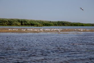 proiectul danubius ro 2 un nou pas pentru cercetarea romaneasca 69255940e155d