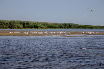 proiectul danubius ro 2 un nou pas pentru cercetarea romaneasca 69255940e155d