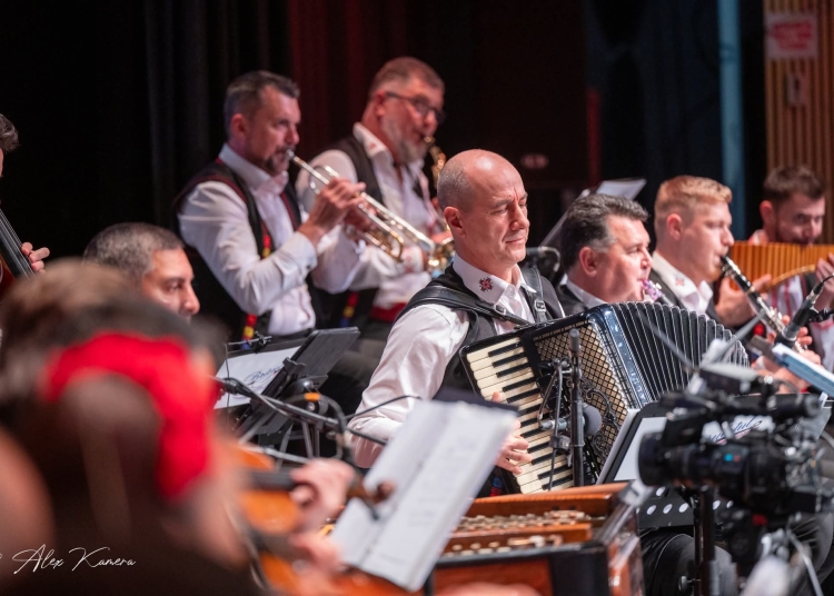 regal dobrogean pe scena centrului multifunctional educativ pentru tineret jean constantin 69159fbb842cd