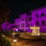 romania in lumina mirabela gradinaru gazda evenimentului dedicat zilei prematuritatii in timp ce palatul cotroceni este iluminat in violet in semn de solidaritate 691b7e32337b0
