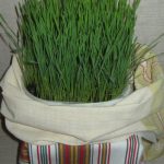 sfantul andrei in traditia populara andrei cap de iarna 692c77ae1dca0