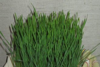 sfantul andrei in traditia populara andrei cap de iarna 692c77ae1dca0