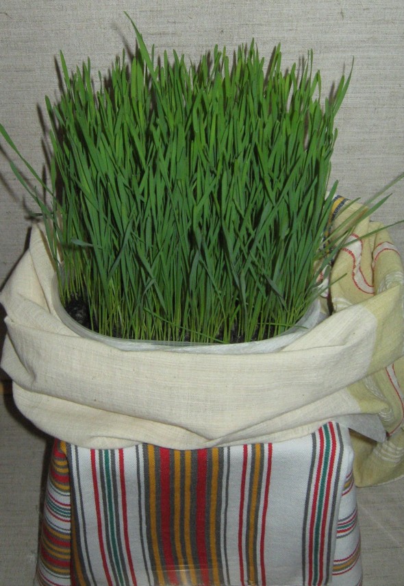 sfantul andrei in traditia populara andrei cap de iarna 692c77ae1dca0