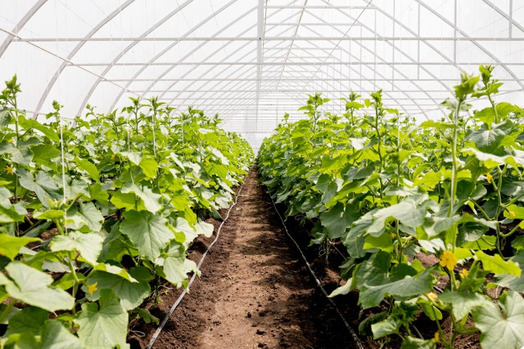 sorin grindeanu reactie dura contra taxei pe sere si solarii nu va fi nicio