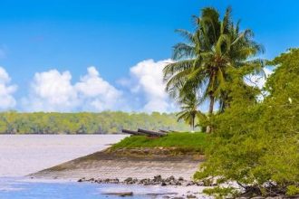 surinam cronica unei tari mesteacan intre padure si ocean foto 692558bca5ea2