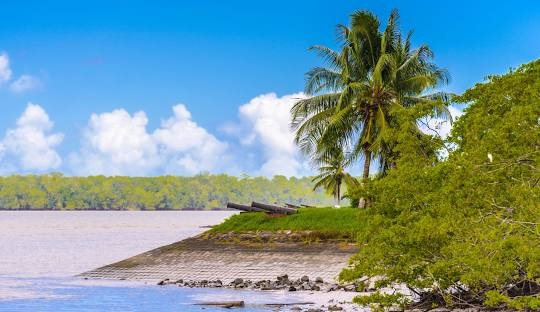 surinam cronica unei tari mesteacan intre padure si ocean foto 692558bca5ea2