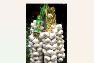 traditii si superstitii de sfantul andrei ce nu ar trebui sa faci in aceasta noapte 692b2be4aedc8