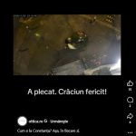 un barbat a gasit o metoda inedita pentru a face rost de brad de craciun 69206154def25