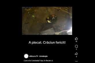 un barbat a gasit o metoda inedita pentru a face rost de brad de craciun 69206154def25