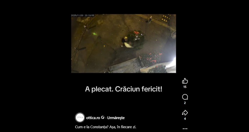 un barbat a gasit o metoda inedita pentru a face rost de brad de craciun 69206154def25