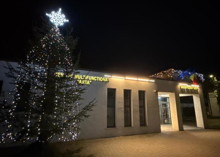 un brad de craciun amplasat intr un cartier din suceava a disparut la o zi dupa ce fusese iluminat festiv 692c26766c6ab