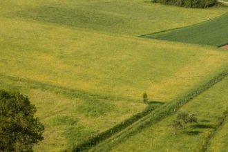 un teren din tuzla judetul constanta de peste trei hectare este scos la vanzare cui ii apartine document 69242b875363d