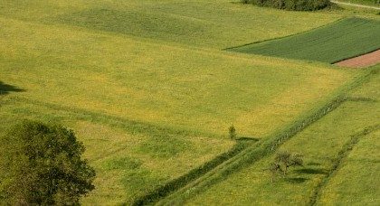 un teren din tuzla judetul constanta de peste trei hectare este scos la vanzare cui ii apartine document 69242b875363d