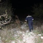 update alerta la murfatlar un barbat de 70 de ani disparut in padure 6906effec2a57