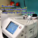 video premiera medicala in dobrogea la vetzone despre ce este vorba 691436bbbe759