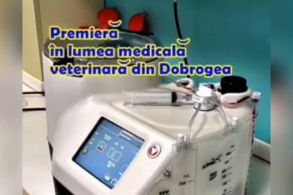video premiera medicala in dobrogea la vetzone despre ce este vorba 691436bbbe759