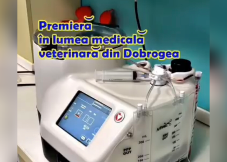 video premiera medicala in dobrogea la vetzone despre ce este vorba 691436bbbe759