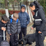 video sky si politistii in mijlocul elevilor o lectie despre siguranta si prietenie 69165a03f3f25
