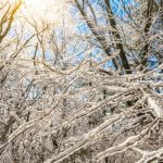 21 decembrie solstitiul de iarna 2025 cea mai scurta zi din an 6947a86af34c3