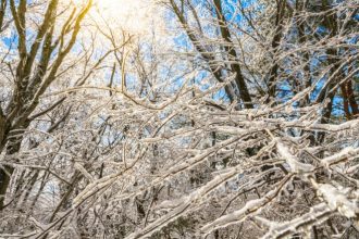 21 decembrie solstitiul de iarna 2025 cea mai scurta zi din an 6947a86af34c3