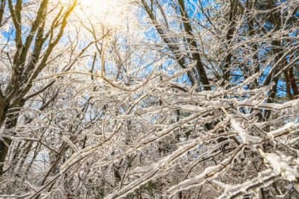 21 decembrie solstitiul de iarna 2025 cea mai scurta zi din an 6947a86af34c3