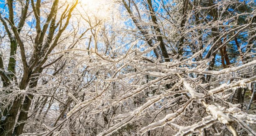 21 decembrie solstitiul de iarna 2025 cea mai scurta zi din an 6947a86af34c3