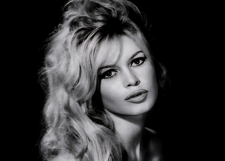 actrita brigitte bardot a murit la 91 de ani 69510a3257e0c