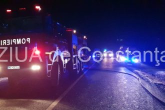 alerta pe autostrada a2 bucuresti constanta mai multe lesuri de ovine impastiate pe sosea 693a0da13c749