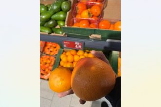 anpc suntem bataia de joc a importatorilor de citrice 69464c69aa516