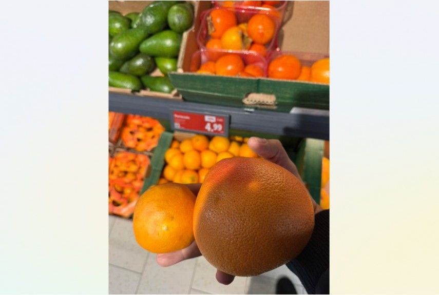 anpc suntem bataia de joc a importatorilor de citrice 69464c69aa516