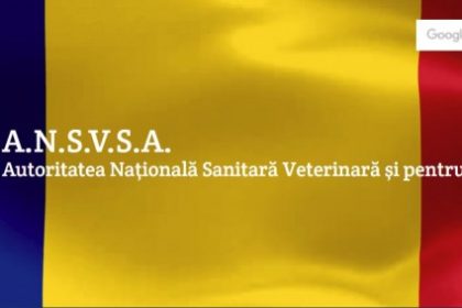 ansvsa implicare in cercetarea europeana privind sanatatea si bunastarea animalelor prin apelul eupahw 2026 6953cfb4e65af