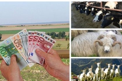 apia ofera un ajutor financiar de aproape 40 de milioane lei pentru fermele de animale 693abae483214