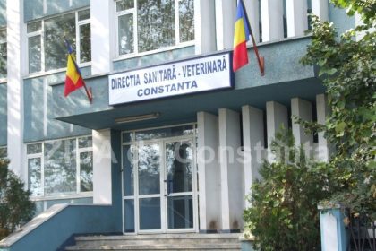 au aparut focare de rabie simptomele aparitiei acestei boli 69403cdc9fffb