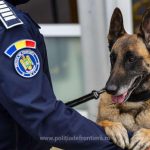 bilant la frontiera controale intense mii de verificari edac si zeci de fapte ilegale constatate 693d1fe3775da