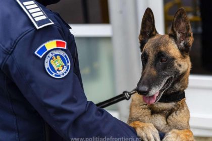 bilant la frontiera controale intense mii de verificari edac si zeci de fapte ilegale constatate 693d1fe3775da