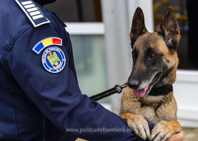 bilant la frontiera controale intense mii de verificari edac si zeci de fapte ilegale constatate 693d1fe3775da