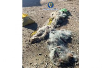 braconaj piscicol in zona canalului dunare marea neagra doi barbati cercetati de politistii ipj constanta 69550c3493715