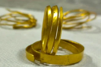 bratari din aur cu o vechime de 3 300 de ani descoperite intr o padure din gorj 6932ad95eccf7