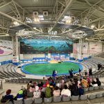 bucurie pentru copiii din comunitatile rurale peste 30 de elevi au trait o experienta inedita la delfinariul din constanta 6938077b545cc