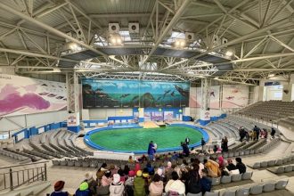 bucurie pentru copiii din comunitatile rurale peste 30 de elevi au trait o experienta inedita la delfinariul din constanta 6938077b545cc