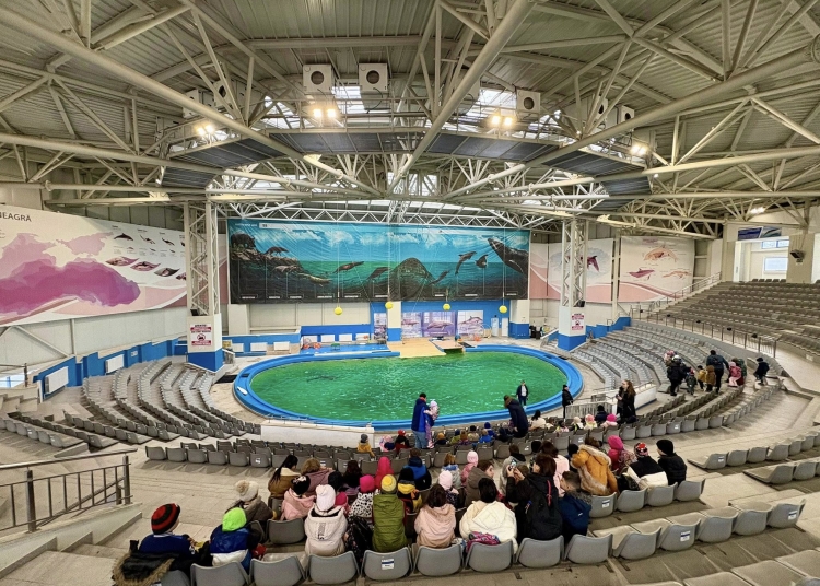 bucurie pentru copiii din comunitatile rurale peste 30 de elevi au trait o experienta inedita la delfinariul din constanta 6938077b545cc