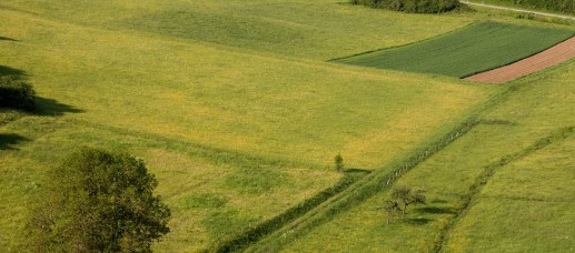 c l i f sa ramane fara un teren de peste doua hectare din sacele judetul constanta ce pret este cerut document 6932f48c43a40