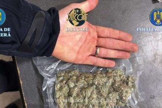 cetatean israelian arestat preventiv dupa ce politistii de frontiera au descoperit in autoturismul condus de acesta peste 100 grame de canabis 6931713702495