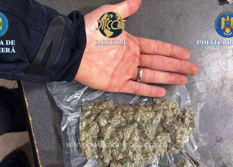 cetatean israelian arestat preventiv dupa ce politistii de frontiera au descoperit in autoturismul condus de acesta peste 100 grame de canabis 6931713702495