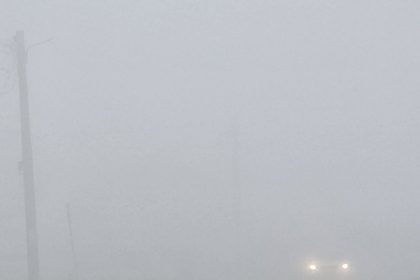 cod galben de ceata in judetele constanta si tulcea 694667a125c82