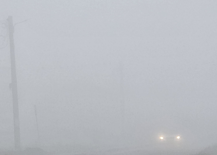 cod galben de ceata in judetele constanta si tulcea 694667a125c82