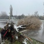 cod galben de de intensificari ale vantului si ninsori viscolite evitati sa treceti sau sa stationati in apropierea copacilor stalpilor imobilelor in constructie 694f48a81fa3f