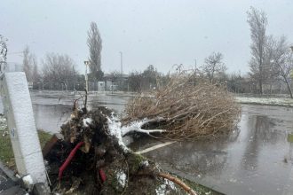 cod galben de de intensificari ale vantului si ninsori viscolite evitati sa treceti sau sa stationati in apropierea copacilor stalpilor imobilelor in constructie 694f48a81fa3f