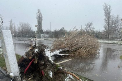 cod galben de de intensificari ale vantului si ninsori viscolite evitati sa treceti sau sa stationati in apropierea copacilor stalpilor imobilelor in constructie 694f48a81fa3f